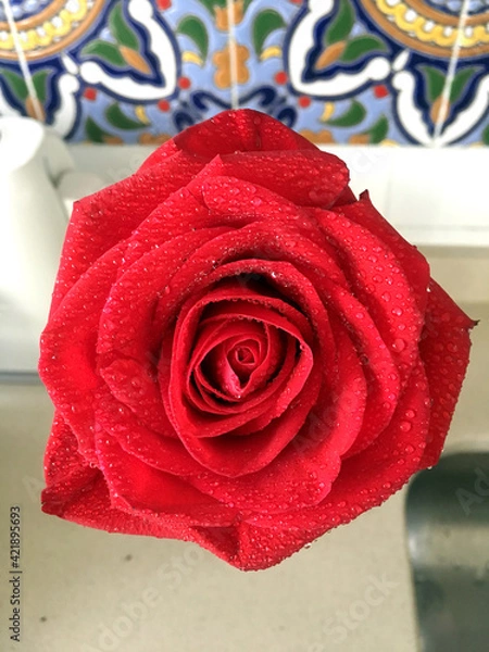 Fototapeta Flower power