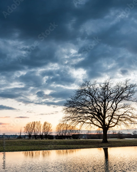 Obraz sunrise over the backwaters