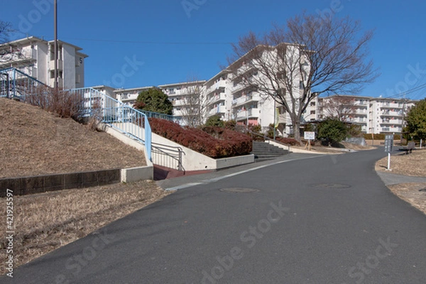 Fototapeta 団地の遊歩道（多摩市／東京）