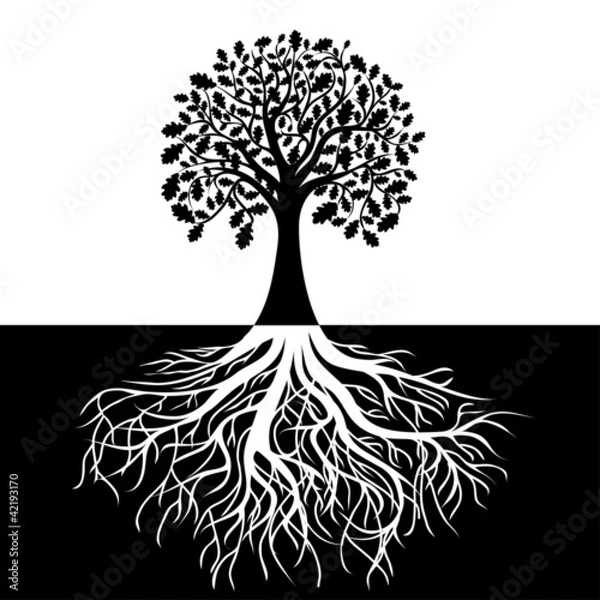 Fototapeta Tree with Roots on Black and white Background