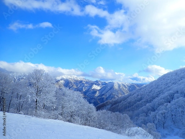 Fototapeta 樹氷と山々の絶景