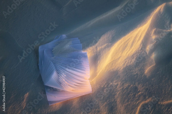 Fototapeta notebook covered with snow