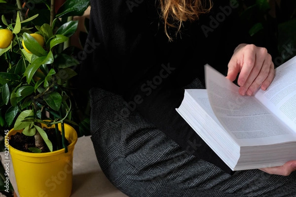 Fototapeta Woman reading a book, girl holds white book while reading at home. Reading mock up , close up details. 