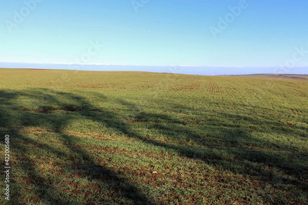 Obraz Spring landscape in the field