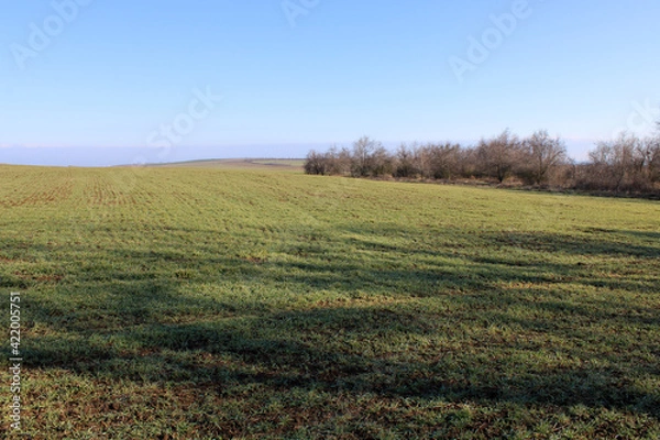 Obraz spring landscape in the field