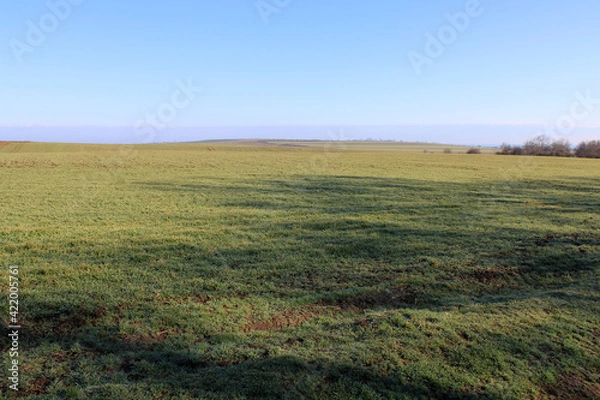 Obraz spring landscape in the field