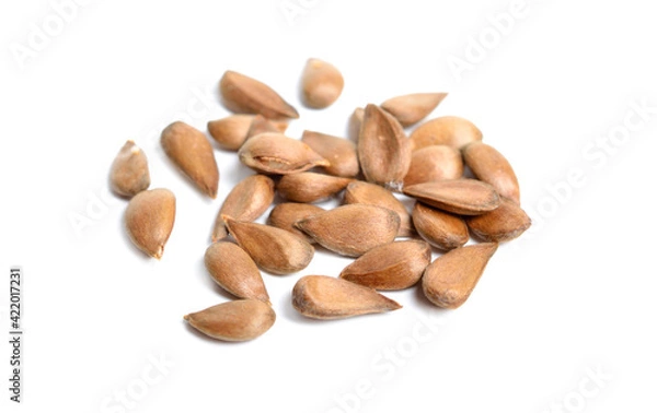 Fototapeta Apple seeds or stones. Isolated on white background