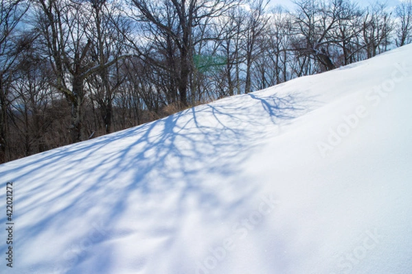 Obraz 冬の雪山４
