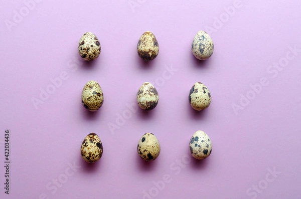 Obraz Quail eggs pattern. quail eggs on violet background. Pattern.