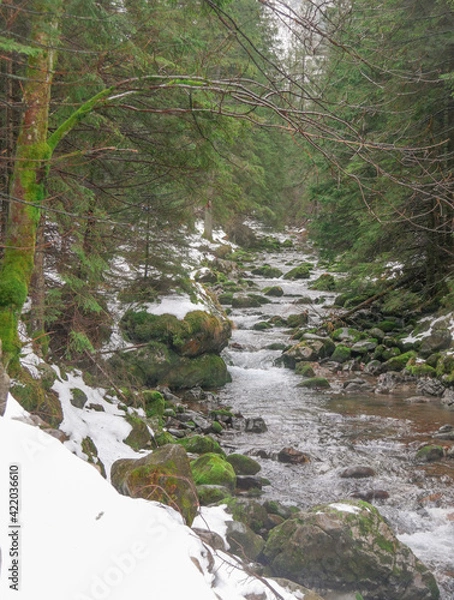 Obraz river at winter
