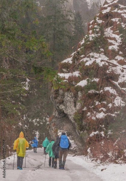 Obraz rainy day at mountain valley