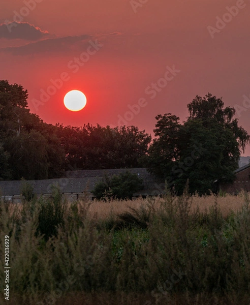 Obraz red sunset
