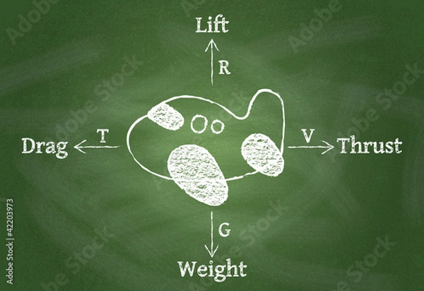 Obraz Diagram, showing Forces of Flight on chalkboard