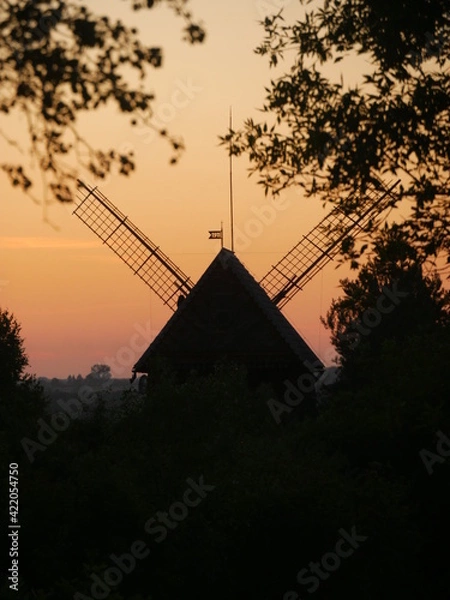 Obraz Windmill at evening