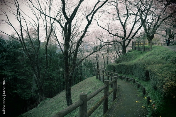 Fototapeta トイカメラ