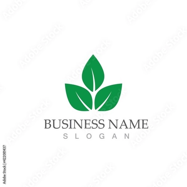 Fototapeta Logos of green Tree leaf ecology