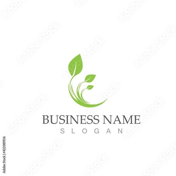 Obraz Logos of green Tree leaf ecology