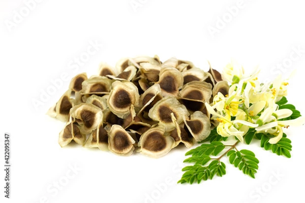 Fototapeta Pile of Moringa seed and moringa flower with leaf isolated on white background. The dried seeds in the pod are ready for propagate. Natural herbs can be extracted into oil for healthcare.
