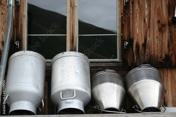 Obraz Bidoni di latte 