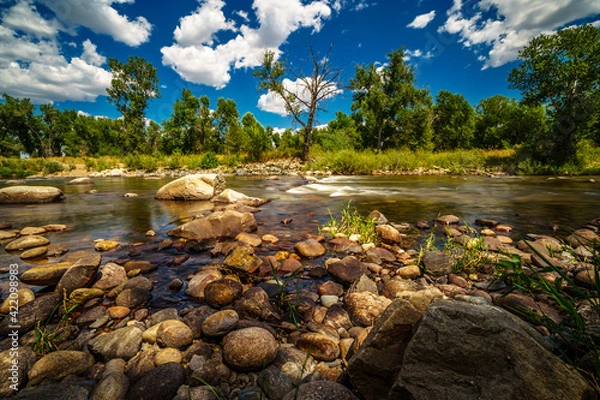 Fototapeta Cache la Poudre River Long Exposure