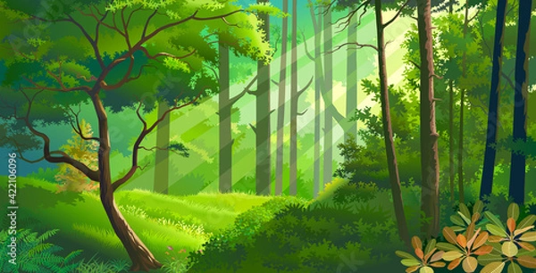 Fototapeta Thick meadows within a dense forest with fauna & flora. Rays of light penetrating through the leaves.