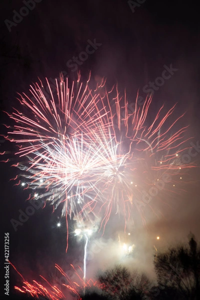 Fototapeta fireworks in valencia at night