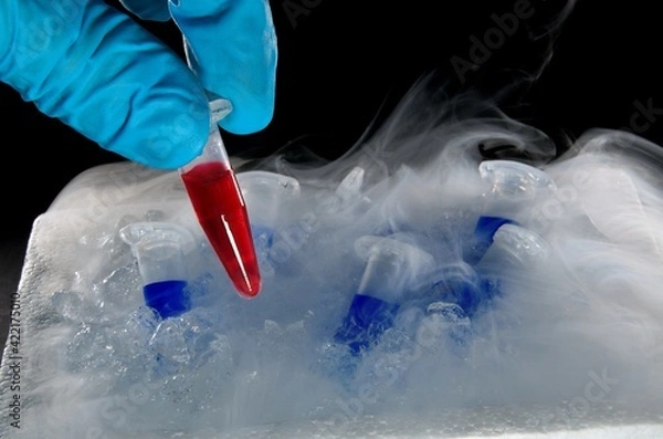 Obraz Polymerase chain reaction samples on dry ice used in biochemistry, molecular biology, genetics, and clinical chemistry in lab