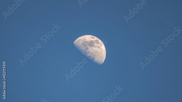 Fototapeta Waxing Gibbous Moon Phase in the Daytime