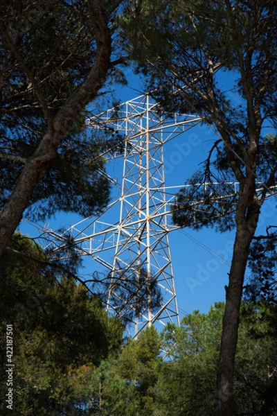 Obraz Electric tower between trees