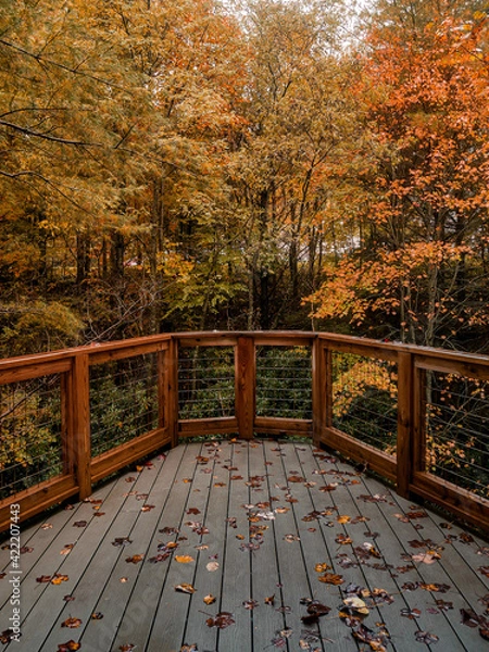 Obraz Autumn Lookout