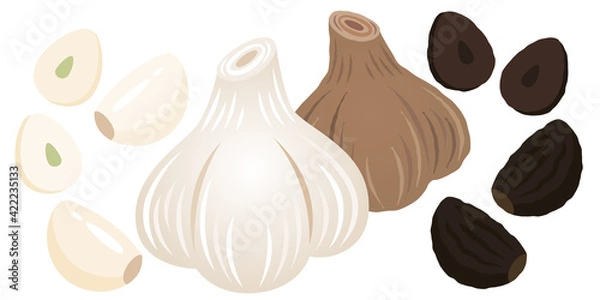 Fototapeta ニンニク