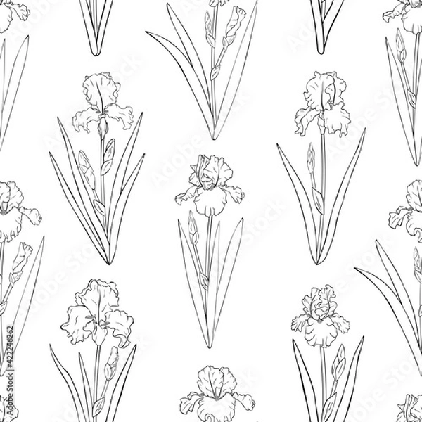 Fototapeta Seamless pattern flowers Irises graphics black and white colors vector illustration