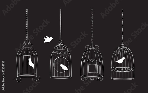 Fototapeta Birds in cages