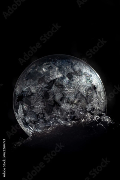 Obraz Close up frozen ice covered soap bubble