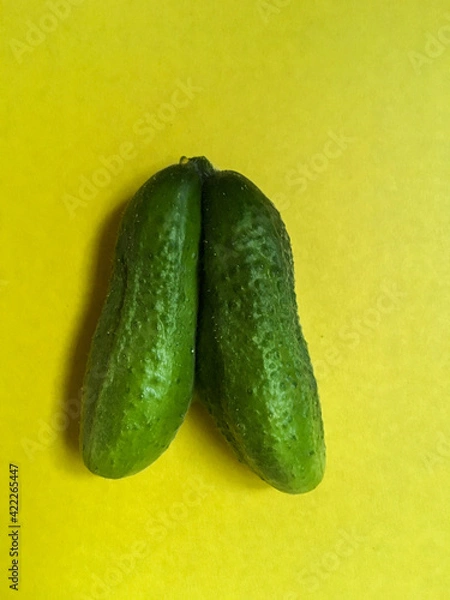 Obraz Two coalescent ugly cucumbers isolated on yellow background