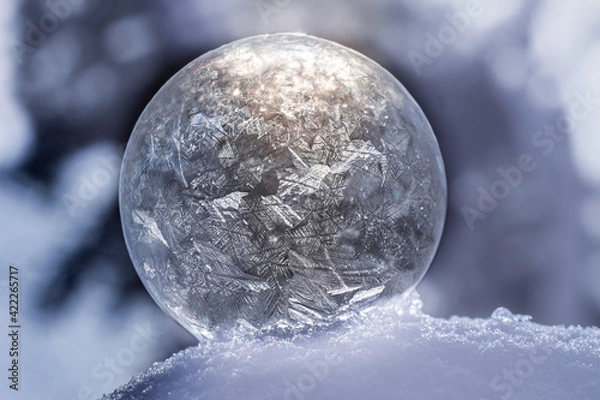 Obraz Close up frozen soap bubble with bokeh