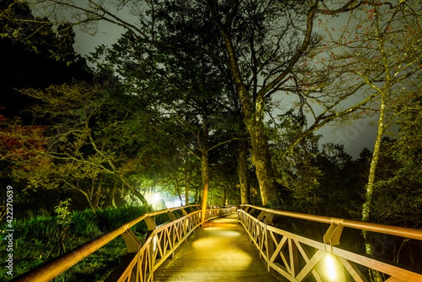 Fototapeta boardwalk paths through the forest at night time, Alishan Forest Recreation Area in Chiayi, Taiwan.