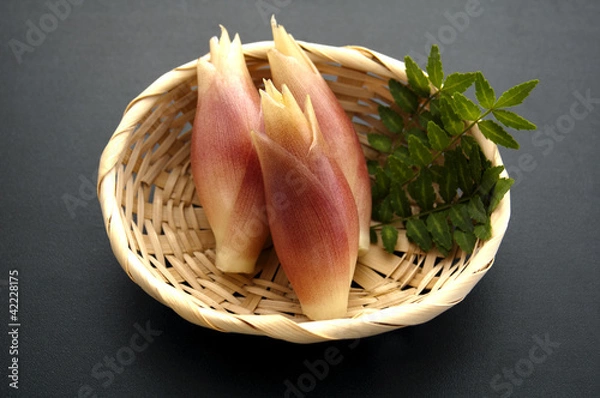 Fototapeta ミョウガ