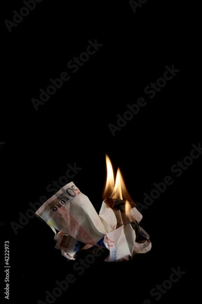 Obraz money burning