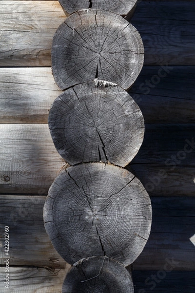 Obraz ends of a log house of a wooden house