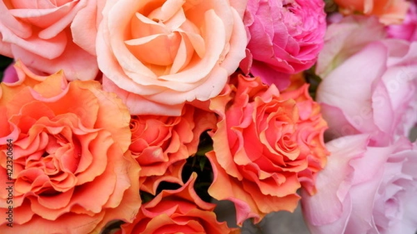 Fototapeta 商用で使えるバラの写真