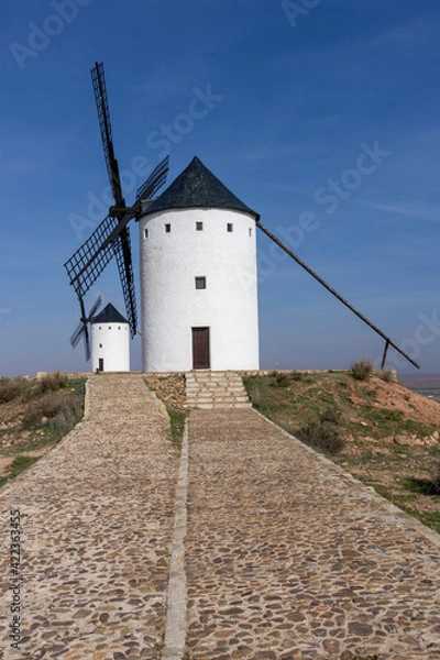 Fototapeta the windmills of La Mancha in the hills above San Juan de Alcazar