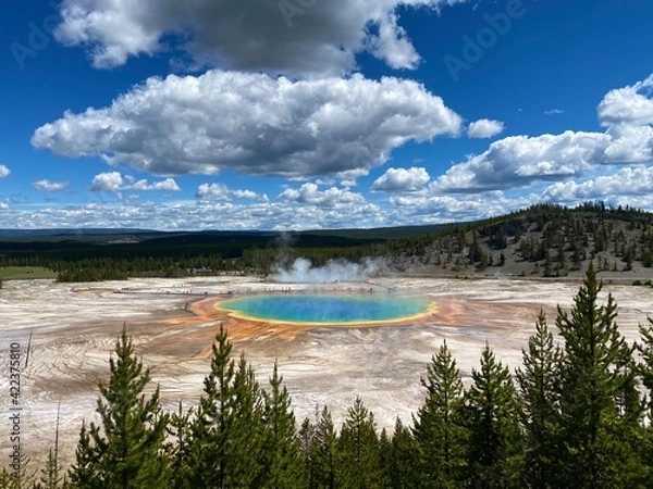 Fototapeta yellowstone