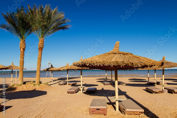 Fototapeta deserted empty beach, sun loungers and umbrellas on the shores of the Red Sea, evening, winter Sharm El Sheikh, Egypt
