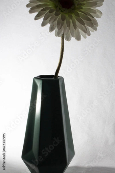 Obraz Experimentación. 