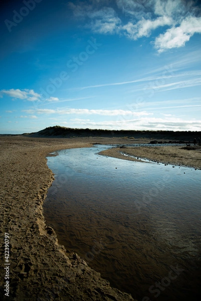 Obraz beach at sunset