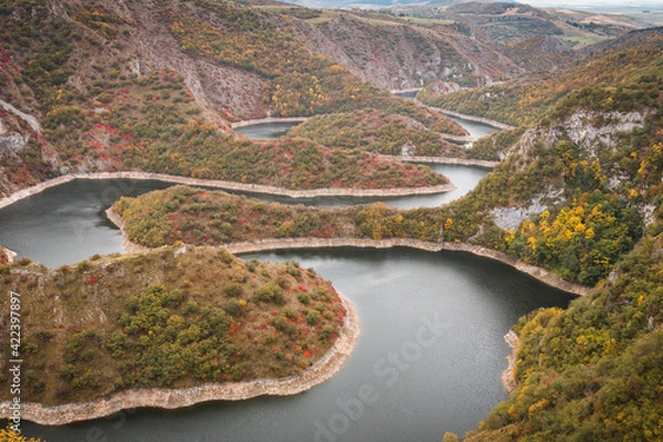 Fototapeta view of the river