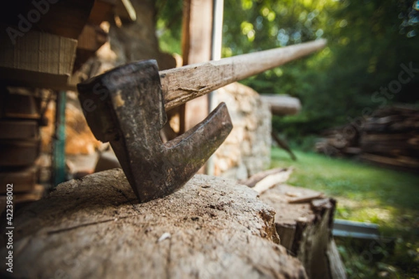 Obraz Axe in the stump ready for choping woods