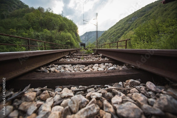 Fototapeta railway tracks in the countryside