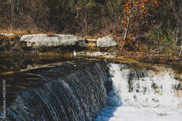 Obraz waterfall in the forest